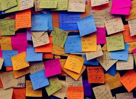 Explore Testimonials